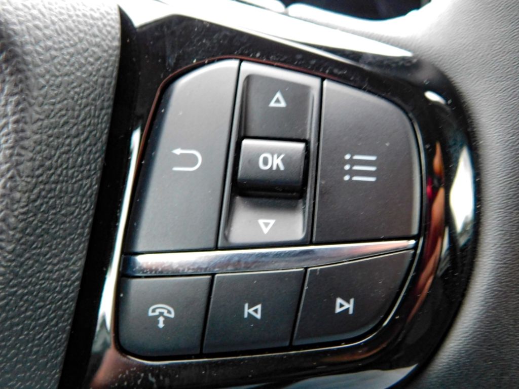 Fahrzeugabbildung Ford Puma Titanium 1,0 92KW/125PS Ganzjahresreifen Wi