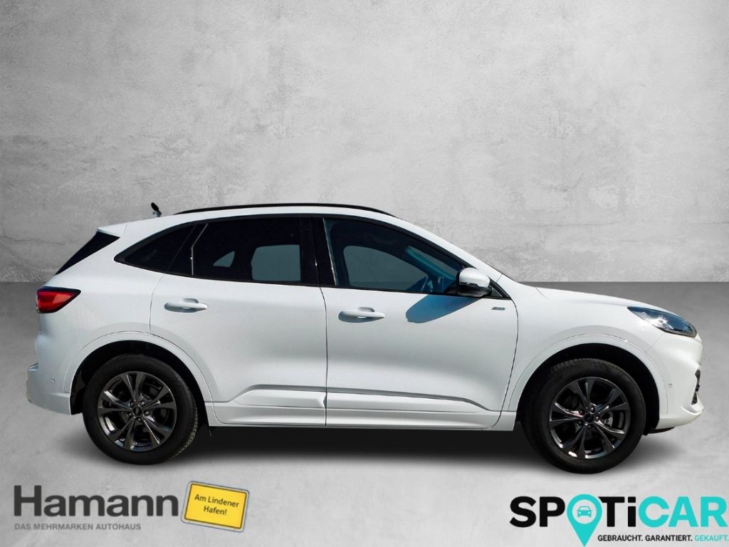 Fahrzeugabbildung Ford Kuga Plug-In Hybrid ST-Line AHK Winterpaket Ganz
