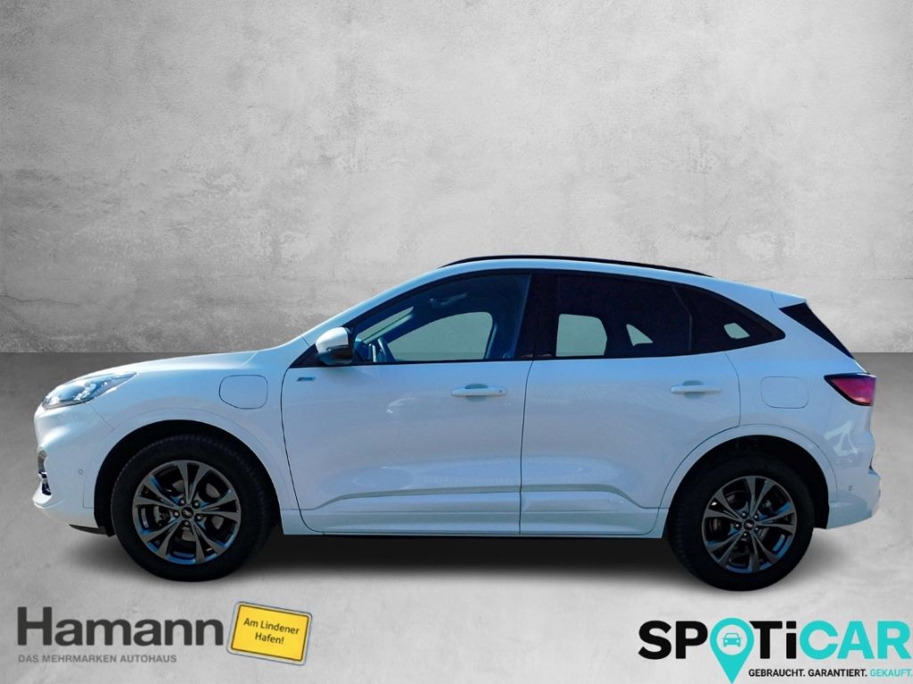 Fahrzeugabbildung Ford Kuga Plug-In Hybrid ST-Line AHK Winterpaket Ganz